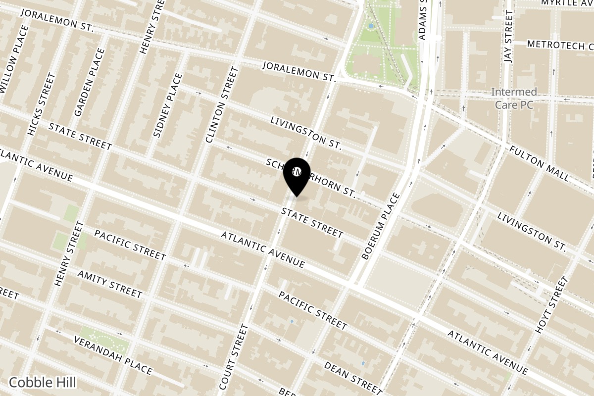 Map showing the location of Vivi Bubble Tea Brooklyn Heights on 113A Court St in Brooklyn